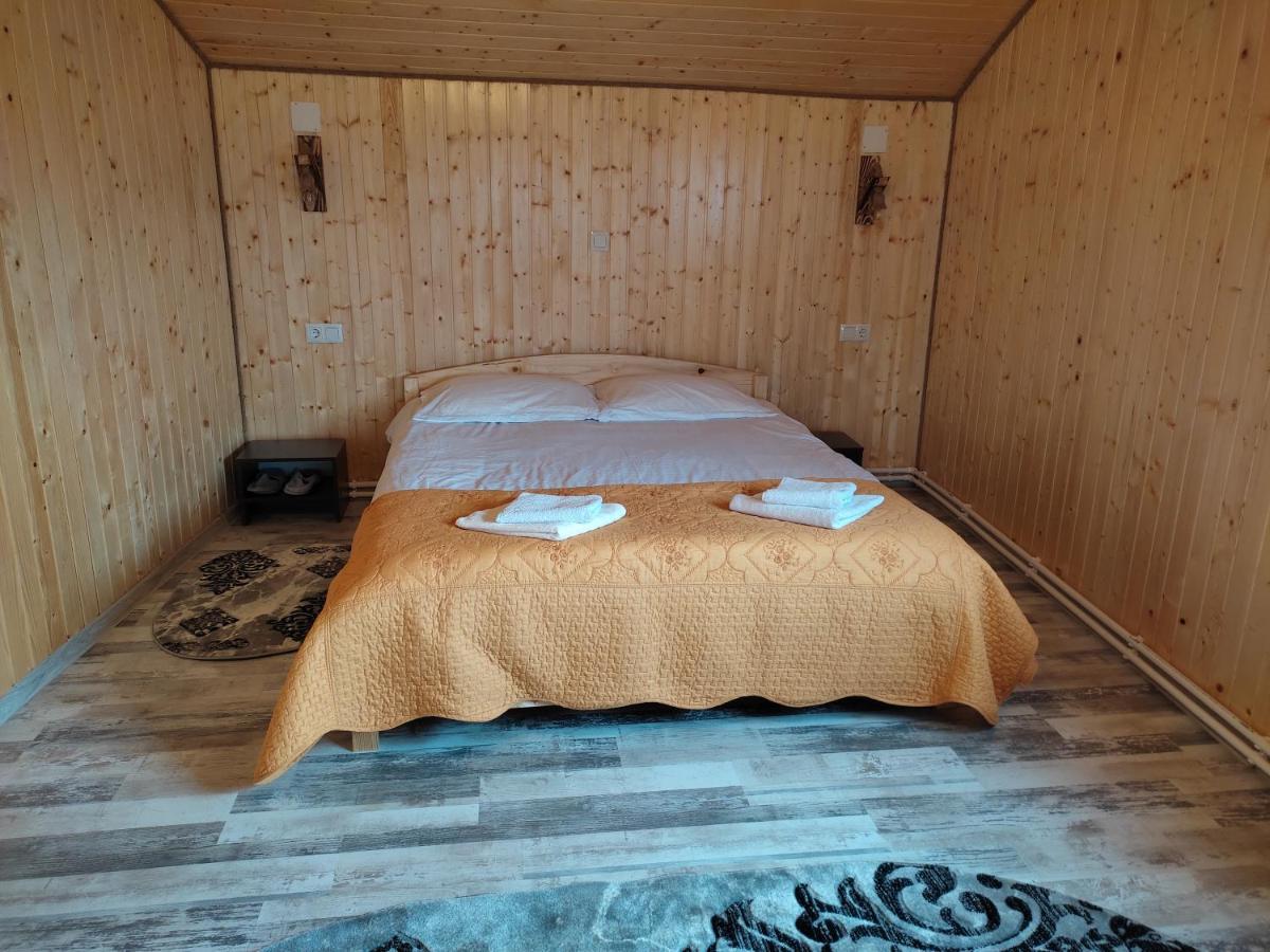 Doi Mesteceni Drumu Carului