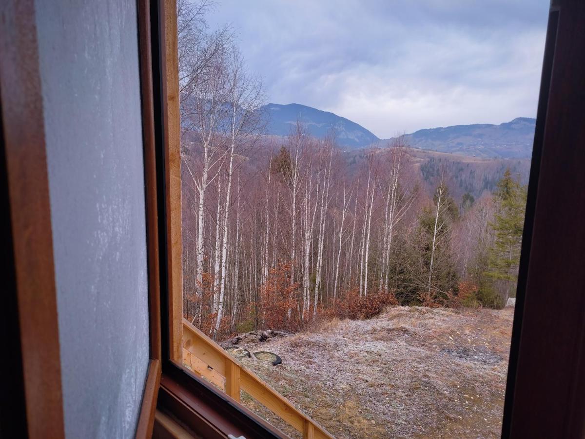 Doi Mesteceni Lodge *