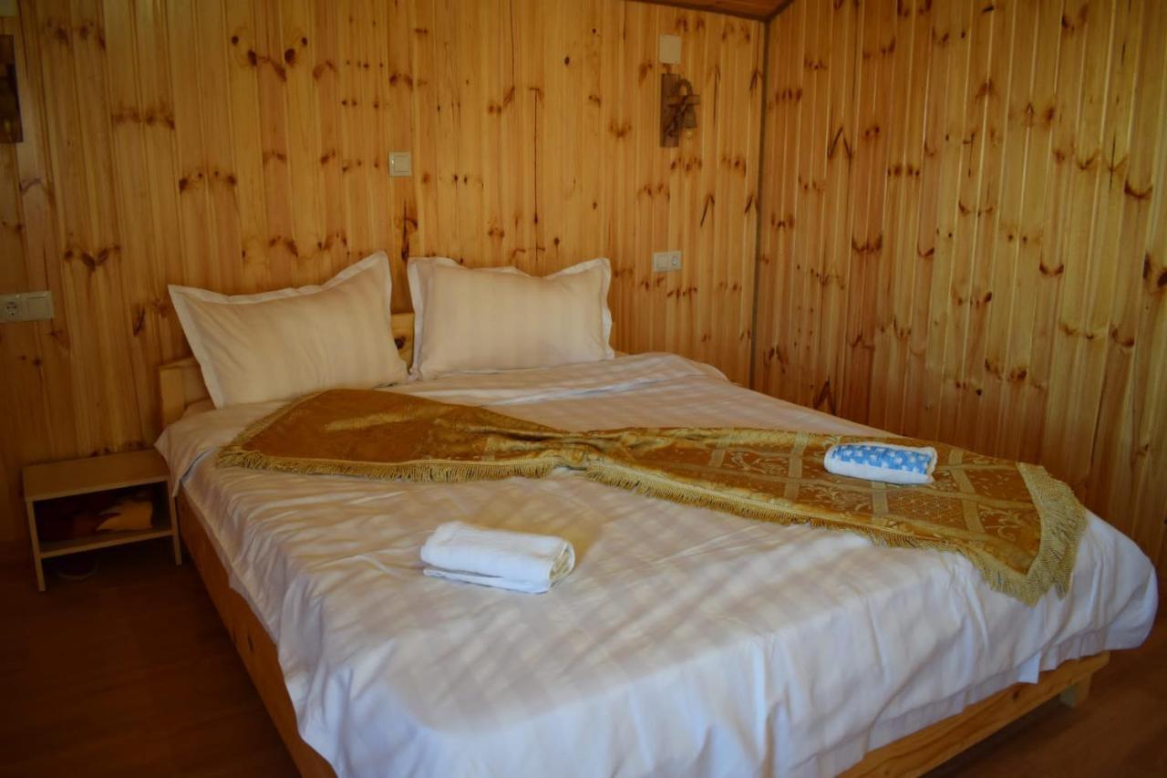 Doi Mesteceni Drumu Carului