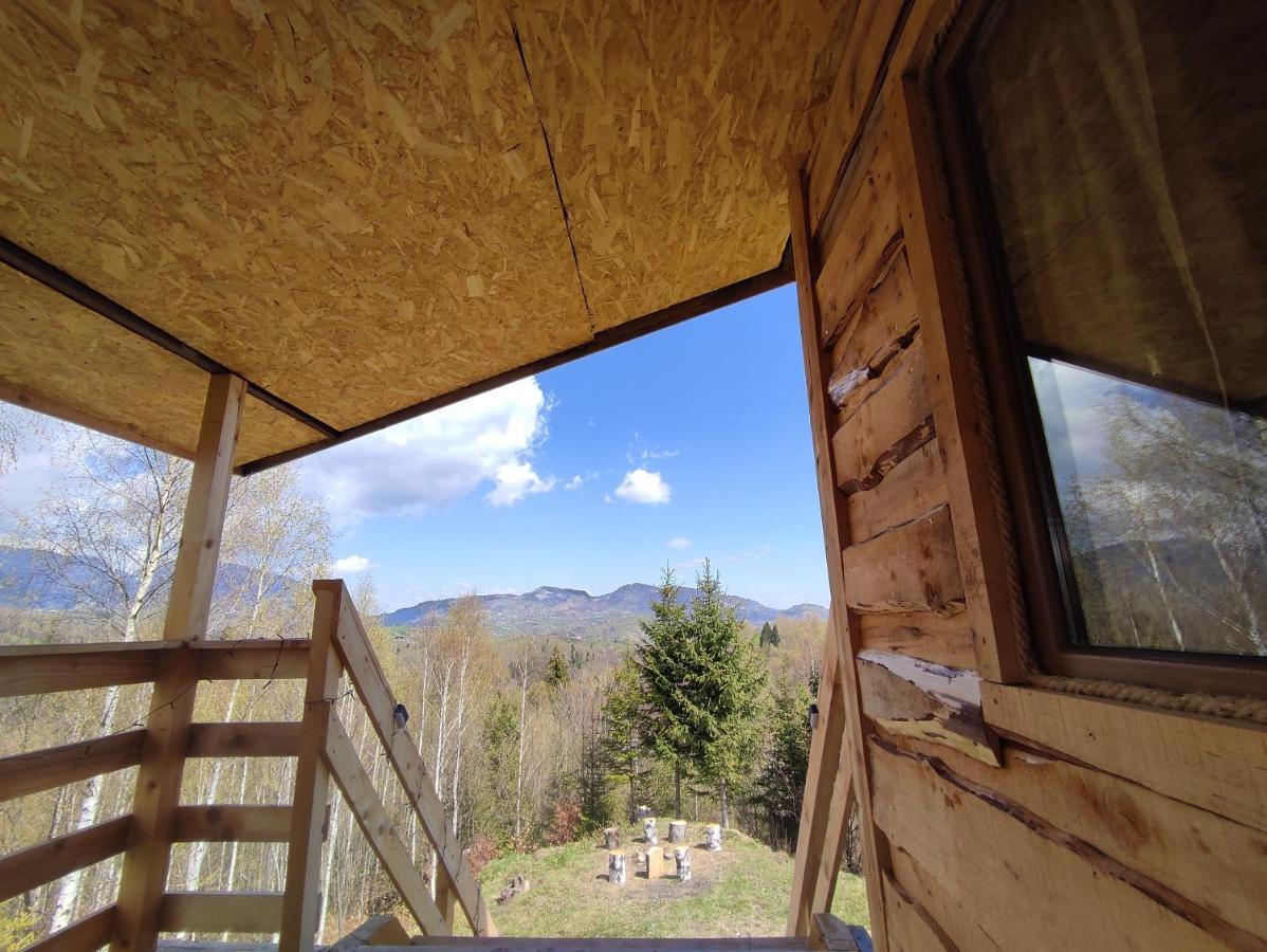 Lodge Doi Mesteceni *