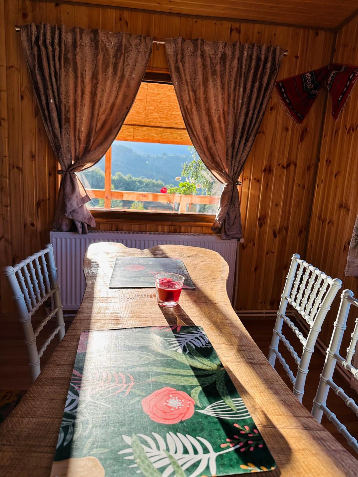 Lodge Doi Mesteceni