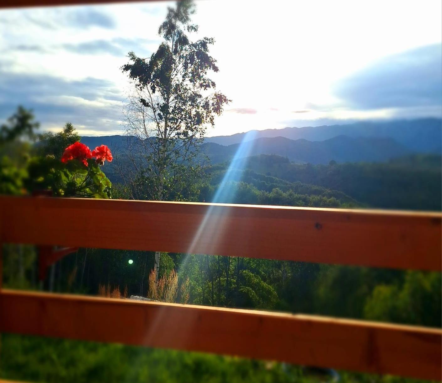 Lodge Doi Mesteceni